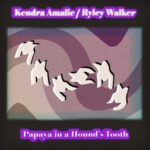 Neue EP: Kendra Amalie/Ryley Walker - Papaya In A Hound's Tooth