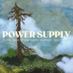 Neuer Song: Power Supply - Infinity