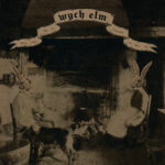 Review: wych elm - Rabbit Wench