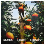 Review: SEND MEDICINE - Mata Hari Honey
