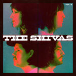 Video: The Shivas - Love Buzz (Shocking Blue Cover)