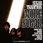 Neuer Song: Sugar Tradition - Fragile