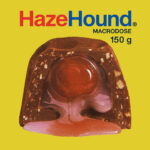 hazehound-microdose